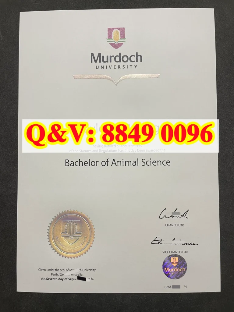 澳洲莫道克大学文凭毕业证学位证Diploma from Murdoch University