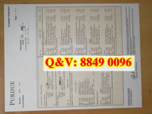 普渡大学新增专项安全审查 理工科申请门槛升级 中...