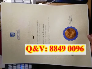 澳大利亚南澳大学商务本科毕业证｜University of S...