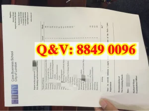 英国伦敦城市大学卡斯商学院成绩单City, Universit...