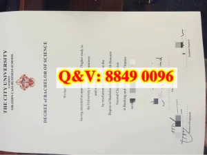 英国伦敦城市大学卡斯商学院文凭Diploma from City...