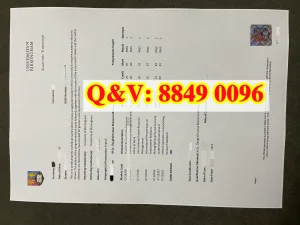 伯明翰大学人力资源管理理学硕士成绩单完整解析｜U...