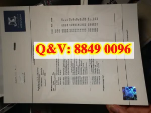 墨尔本大学成绩单商学士会计与金融专业解析｜The U...