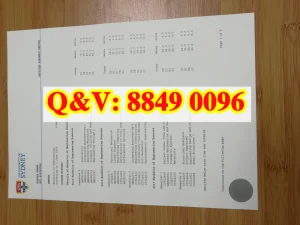 悉尼大学工程荣誉学士成绩单完整解析｜The Univers...