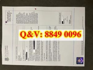 昆士兰大学毕业声明全套完整解析｜The University ...