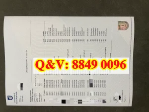 澳大利亚南澳大学成绩单补办｜院校就业现状和最新...