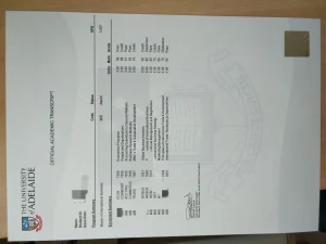 澳大利亚阿德莱德大学国际商务硕士官方成绩单完整...