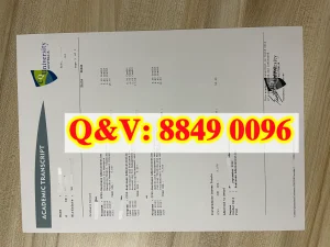 澳洲中央昆士兰大学成绩单补办｜优势专业与就业前...