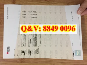 澳洲皇家墨尔本理工大学成绩单补办与就业前景解析...