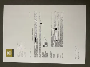 澳洲科廷大学录取通知书Curtin University Letter ...
