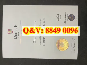 澳洲莫道克大学文凭毕业证学位证Diploma from Murd...