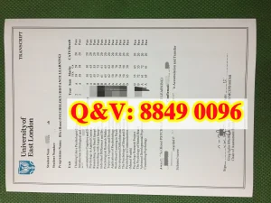 东伦敦大学成绩单University of East London trans...