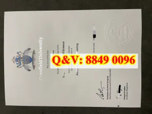 英国克兰菲尔德大学毕业证成绩单：权威解读与全流...