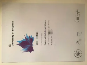 英国布莱顿大学文凭毕业证Diploma from University...