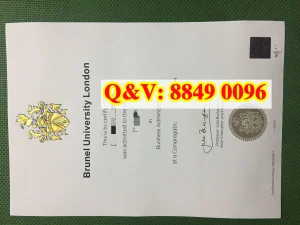 英国布鲁内尔大学文凭Diploma from Brunel Univers...