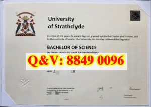 英国斯特拉斯克莱德大学毕业证文凭｜学位证书与成...