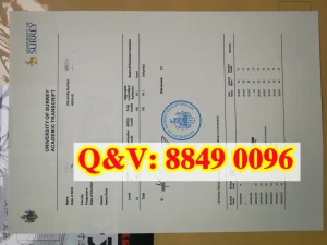 英国萨里大学成绩单补办 优势专业 毕业就业与最新...