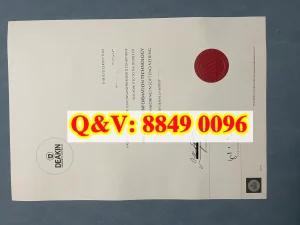 迪肯大学信息技术学士软件工程毕业证｜Deakin Univ...