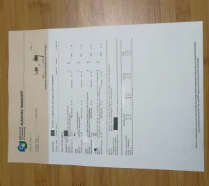 city university of hong kong master academic tr...