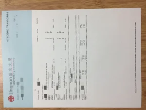 香港嶺南大學成績單商學碩士（國際銀行與金融）｜L...