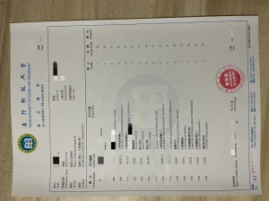 澳門科技大學計算機科學本科理學士成績單｜Macau U...