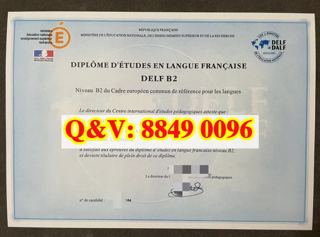法语学习文凭B2等级证书（DELF B2）全解析：考试结构、文凭效力与2026年报考指南（images 1）
