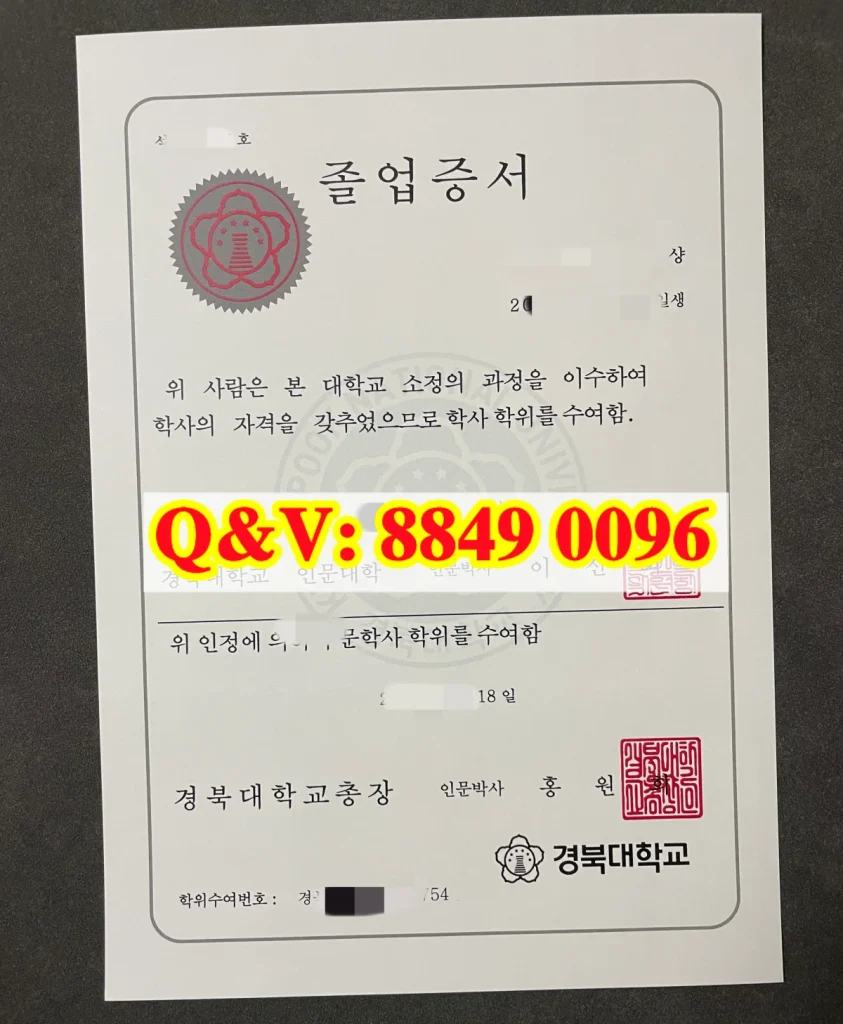 韩国庆北大学：文凭含金量、申请条件与留学生政策红利全解读（images 1）