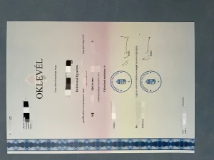 匈牙利德布勒森大学学士学位证书与2026年最新情况...