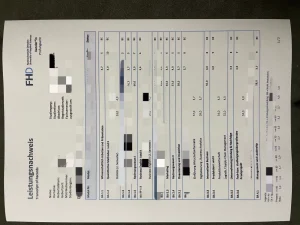 德累斯顿应用科学大学成绩单、优势专业与就业情况...