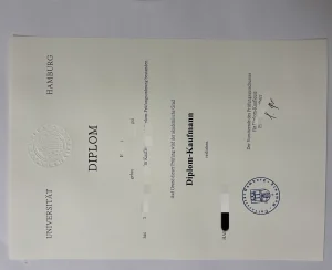 德国各类涉外学位证书识别与留服认证要点