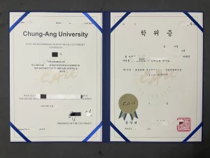 韩国中央大学广播电视与娱乐本科：那张艺术学士学...