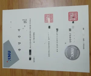 韩国江原国立大学学位证：一份毕业证背后的“国字号...