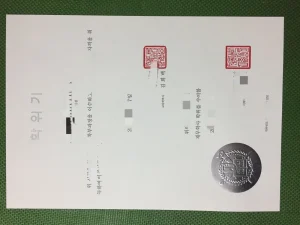 韩国首尔大学经营学学士毕业证：一张不能补发的纸...