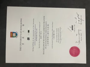 香港大學工商管理學士畢業證會計及財務专业｜The U...