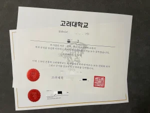 高丽大学硕士毕业证，一张“工学硕士”学位证，和它...