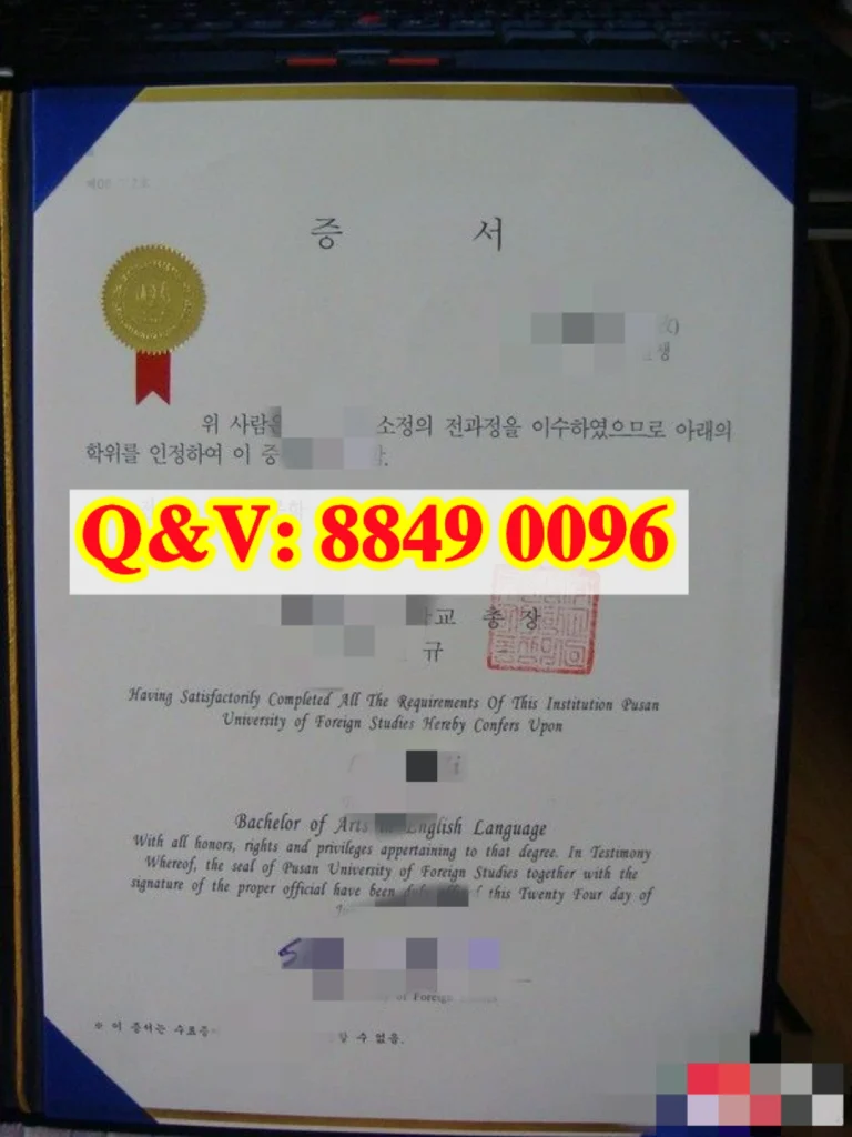 釜山外国语大学学位证:一张“外语专业户”的文凭,和它正在押注的AI语言数据新赛道(images 1)