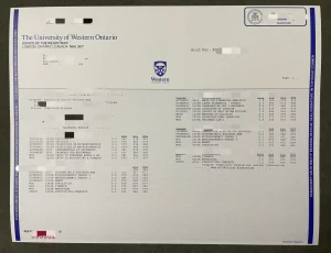西安大略大学成绩单、优势专业与留学生就业前景全指南