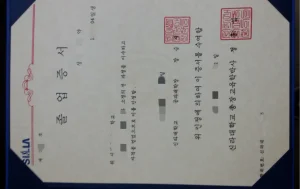 韩国新罗大学毕业证Silla University diploma